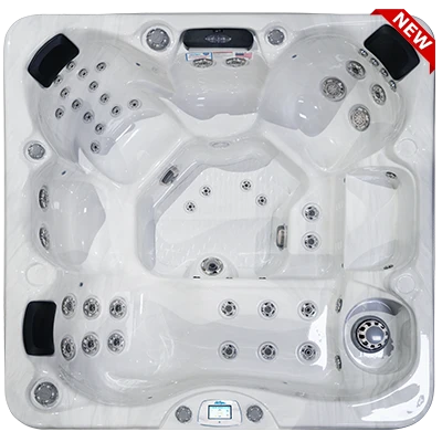 Avalon-X EC-849LX hot tubs for sale in Gardena